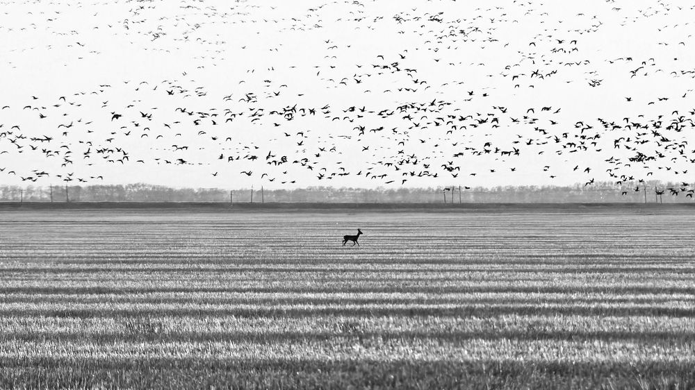 Ритмы жизни