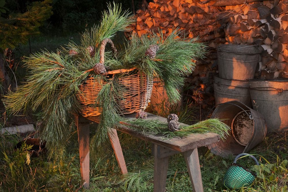 С кедровыми ветками