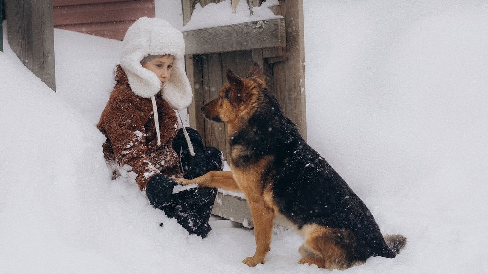 Photograph by Елена Вяткина