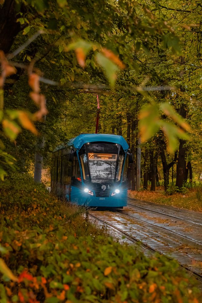 Photograph by Светлана