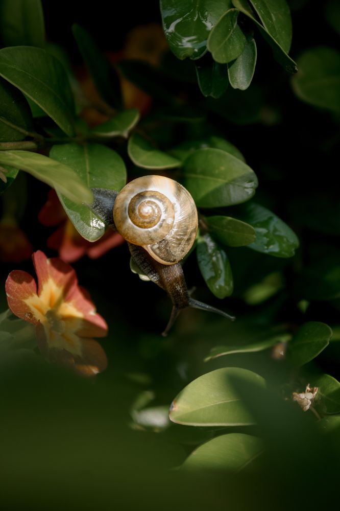 Photograph by Диана Козел