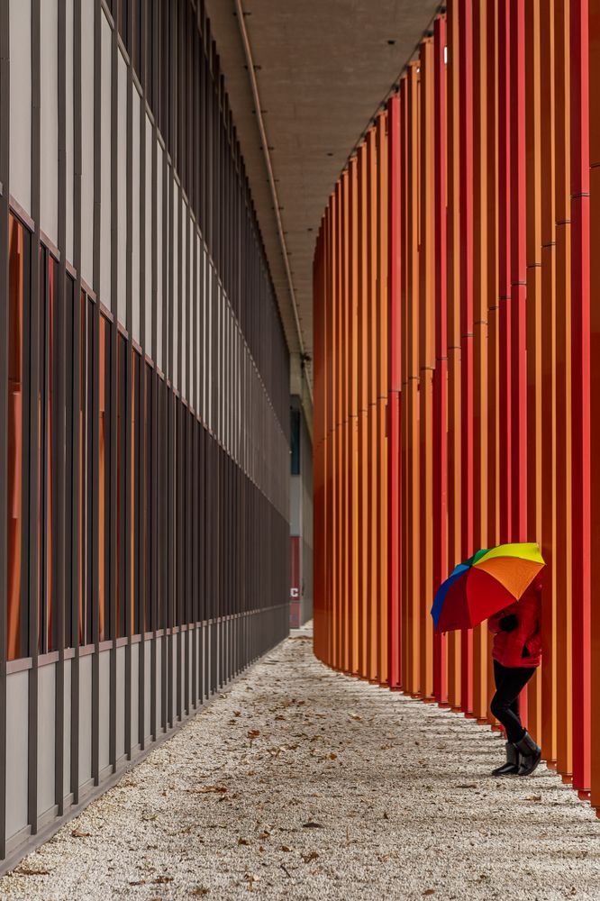 Photograph by OSCAR SAAVEDRA ROMERO