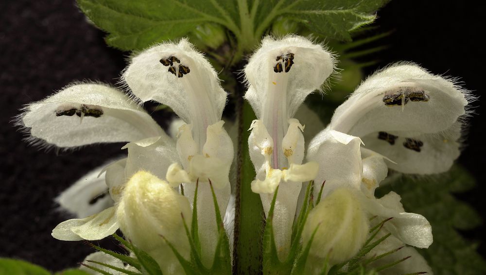 Photograph by Александр Зорин