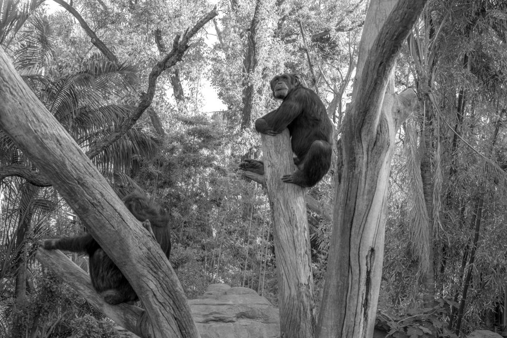 Photograph by Kristiina Stahlberg