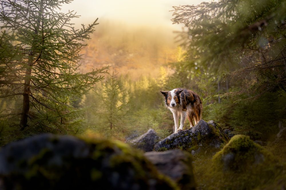 Photograph by Tomas Danco