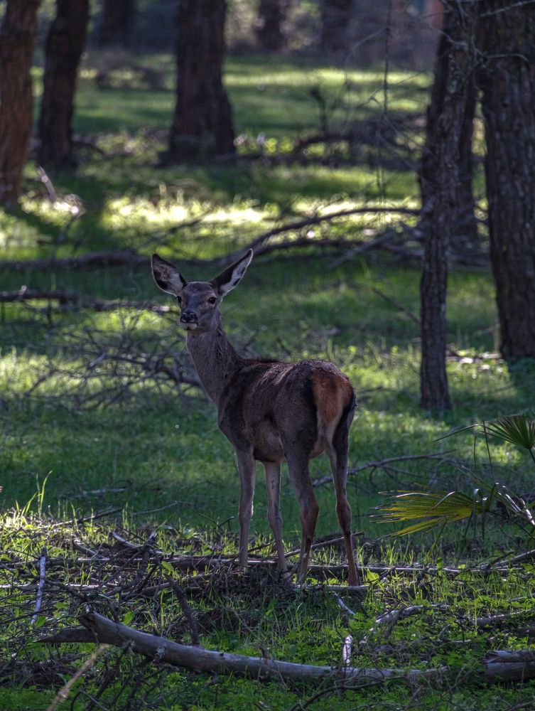 Photograph by Kristiina Stahlberg