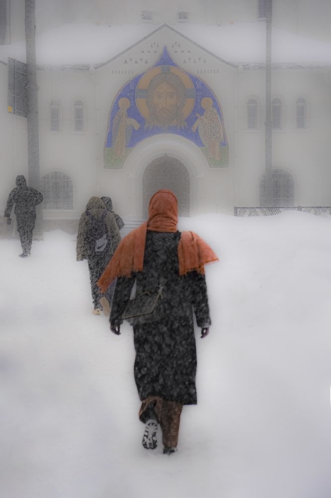 Photograph by Елена Николаева