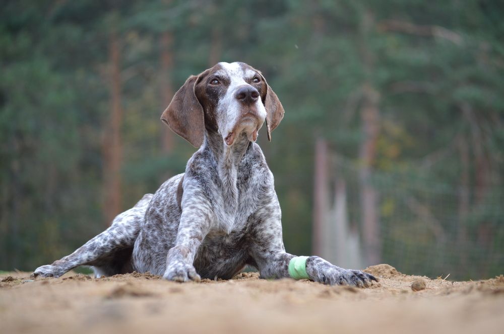 Фотография автора Ritus20018