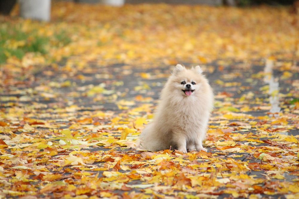 Photograph by Полина Зайцева