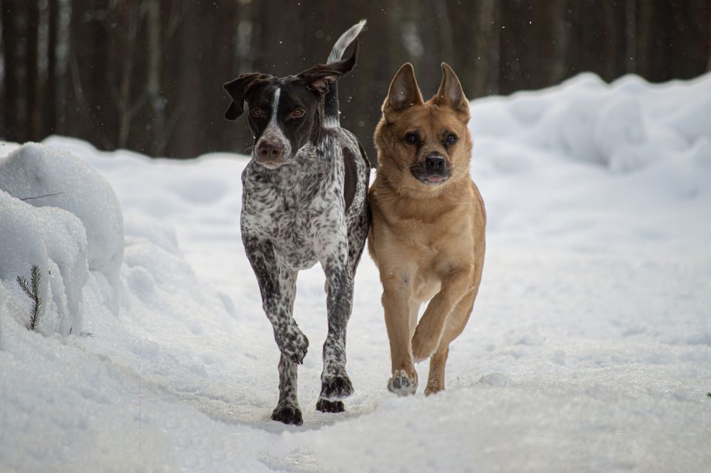 Фотография автора Ritus20018