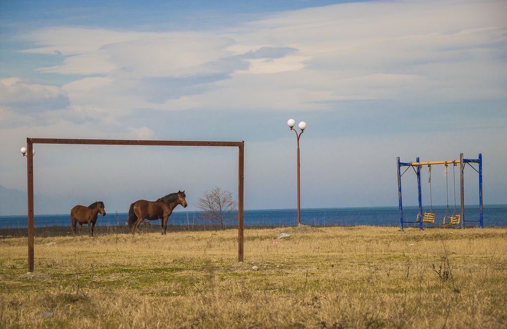 Photograph by Mahdi vagahri shorche