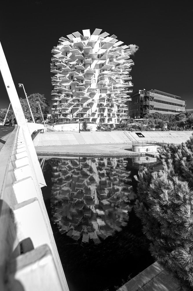 Photograph by OSCAR SAAVEDRA ROMERO