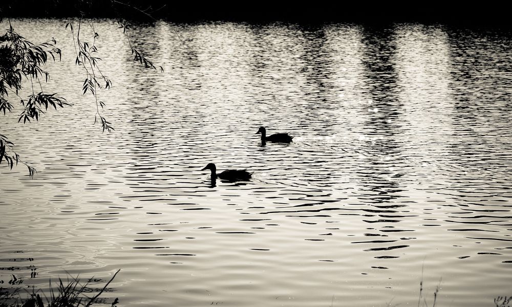 Photograph by Роман Богданов