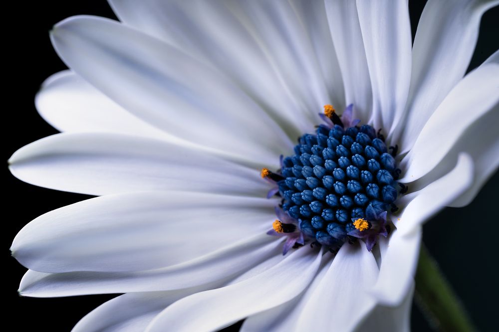 Photograph by ЯR Ольга