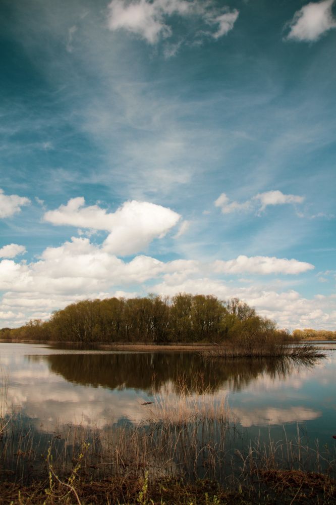 Photograph by Алёна Горелкина