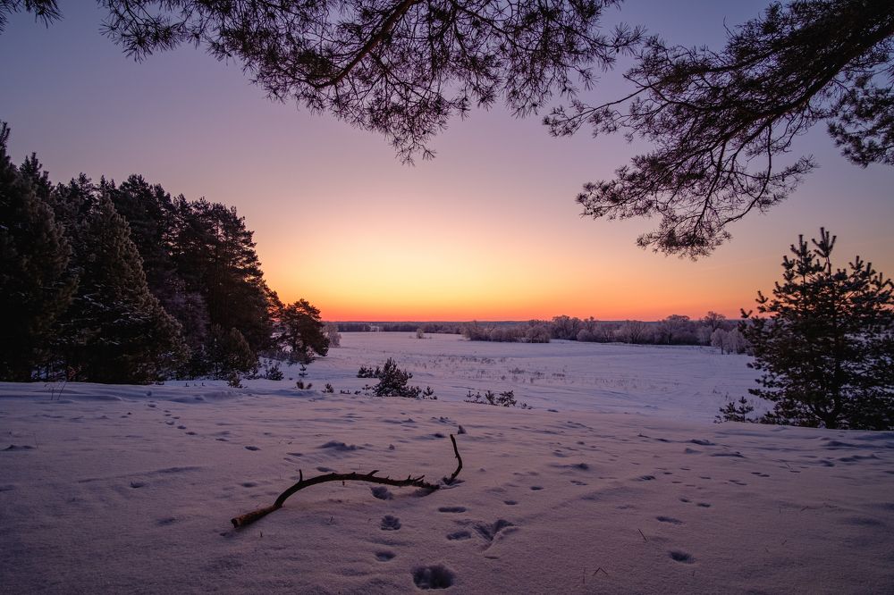 Photograph by Александр Корженков