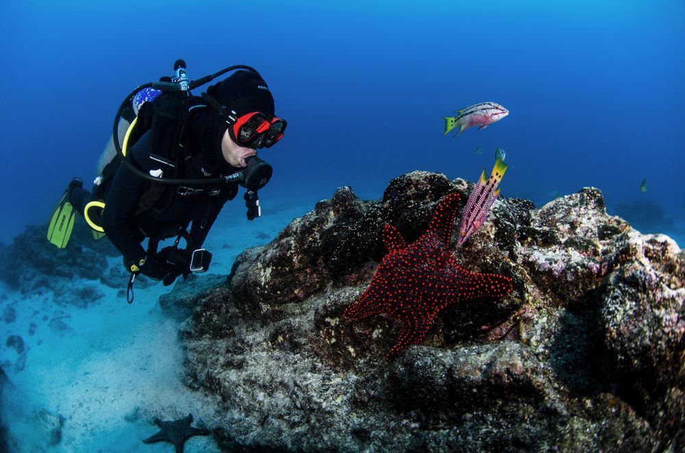 Photograph by ANTONIO RUVER BANDEIRA