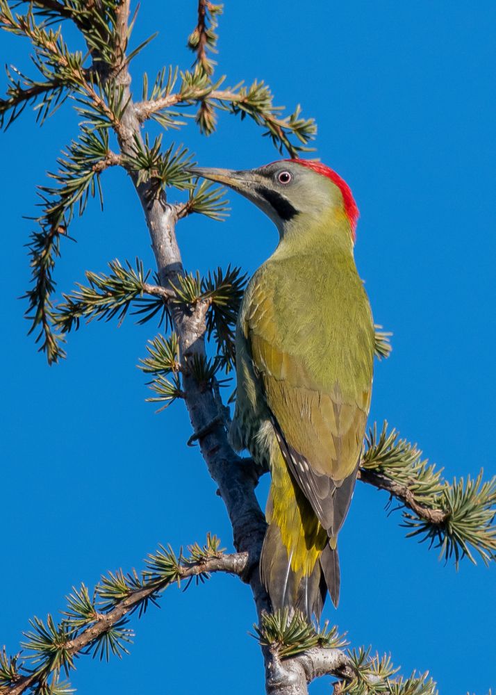 Photograph by bilal bilal