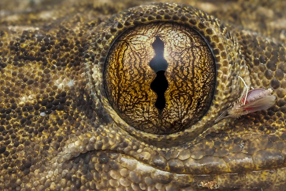 Photograph by Hardeep Solanki