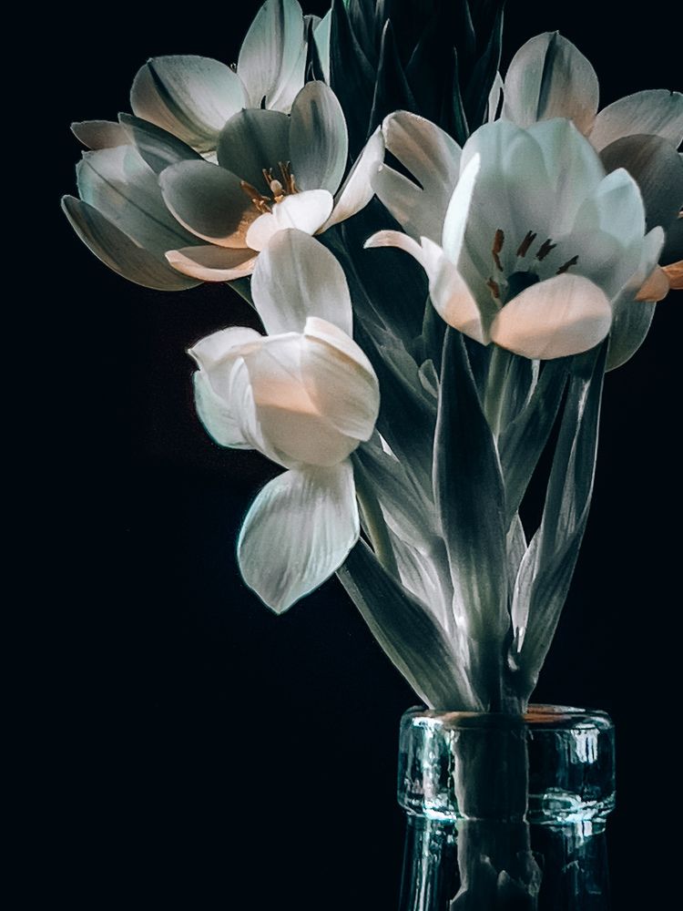 Photograph by Наталья Чернышова