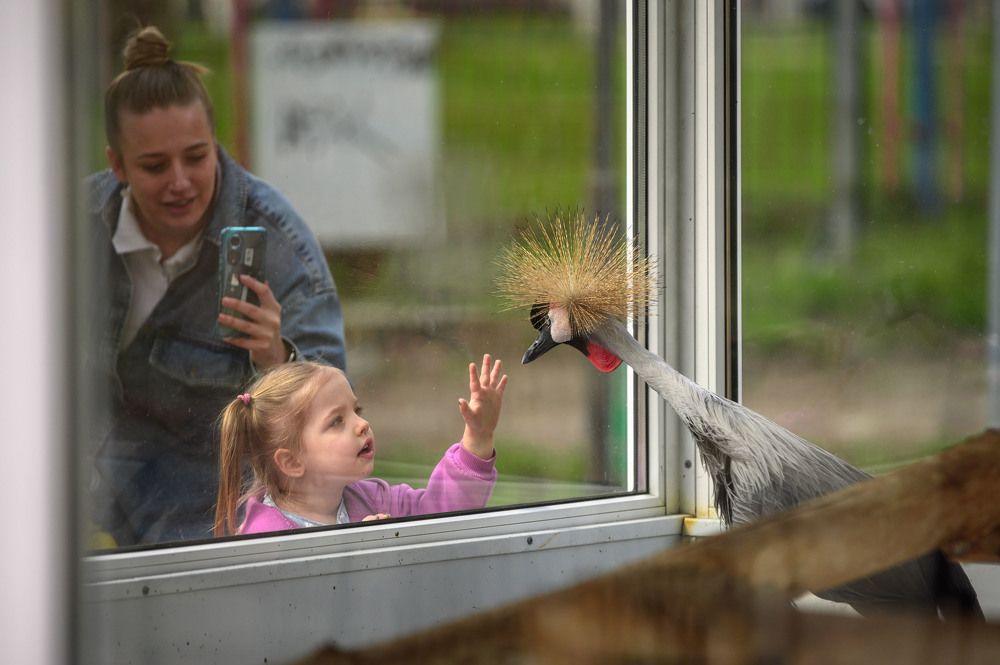 Photograph by Evgeny Vdovin