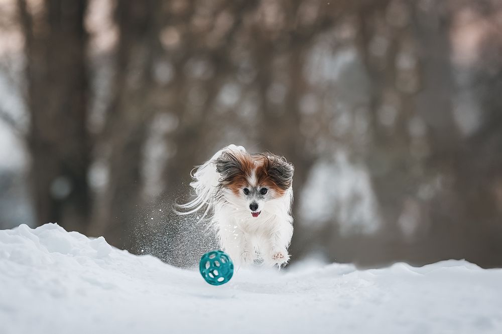 Photograph by Шитиков Владимир