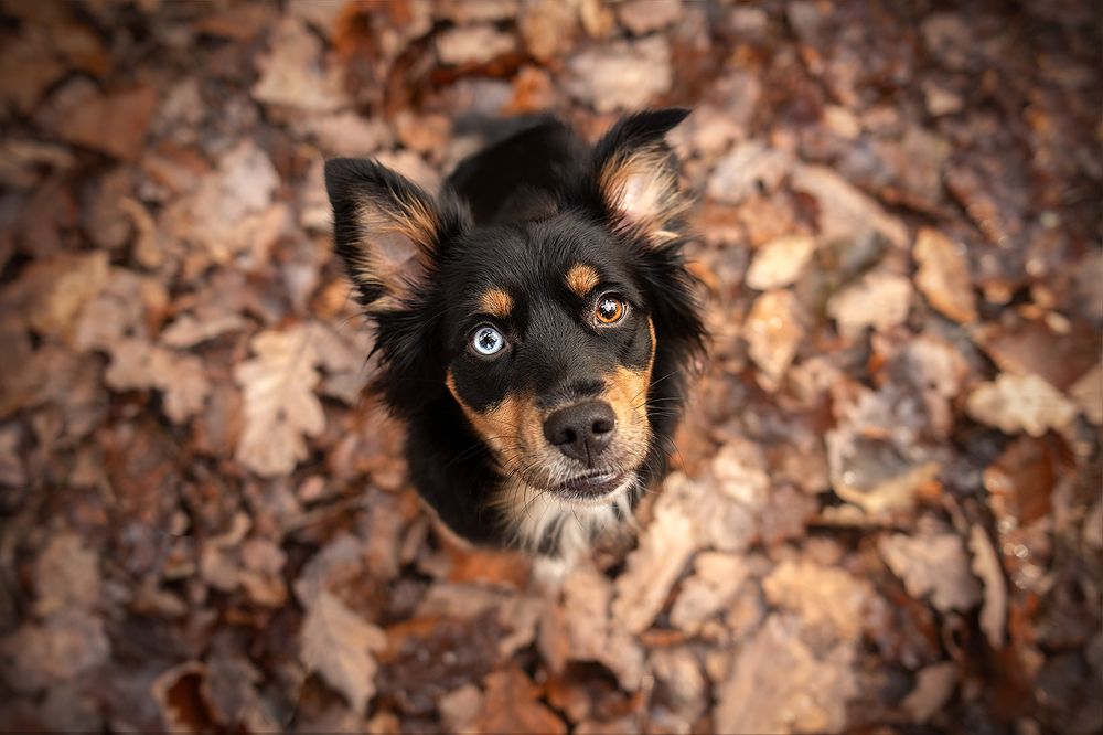 Photograph by Laura Quintanel