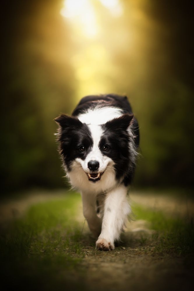 Photograph by Barbora Holinková