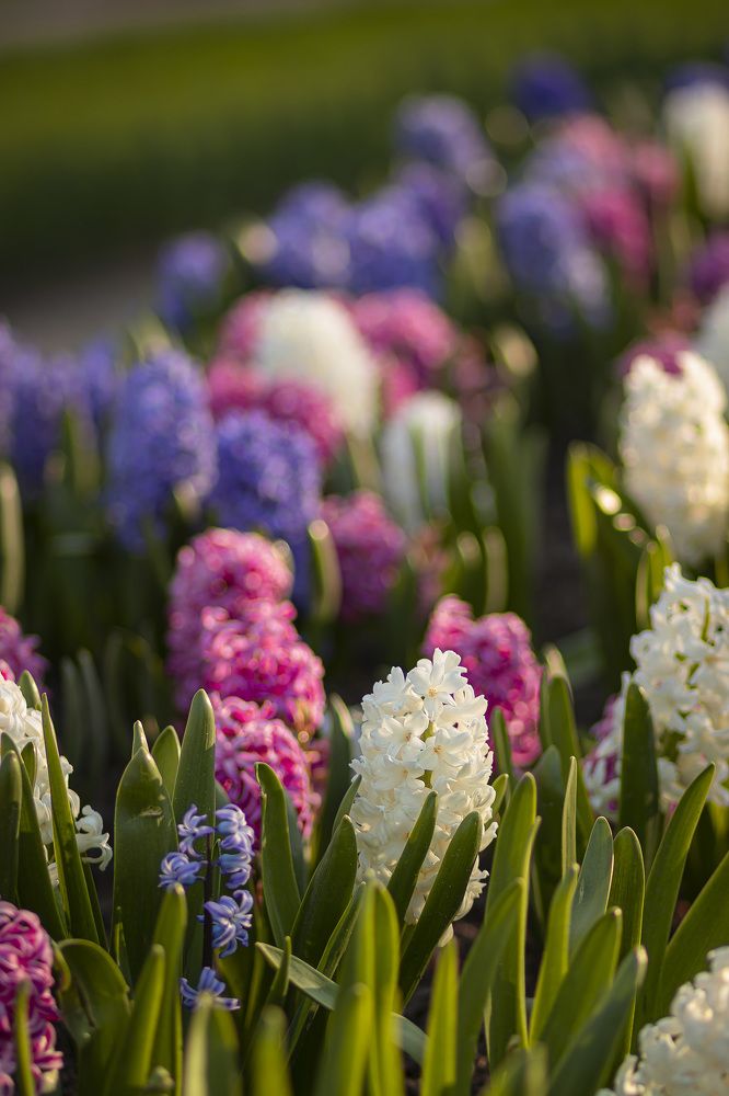 Photograph by Анастасия Белякова