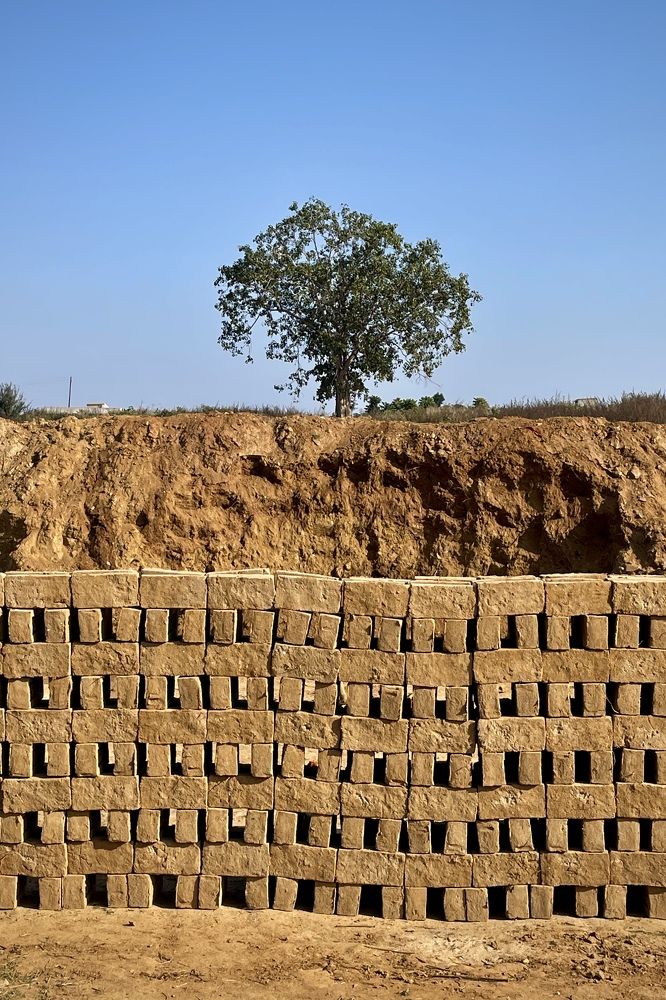 The last one standing