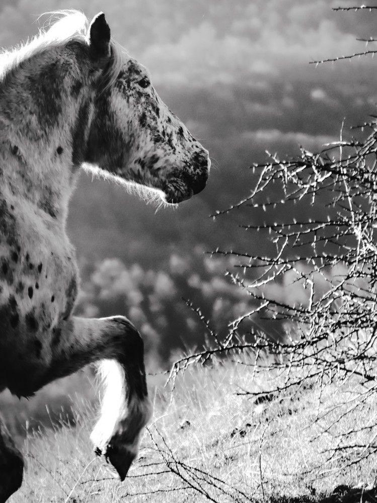 Photograph by Giuseppe Catalano