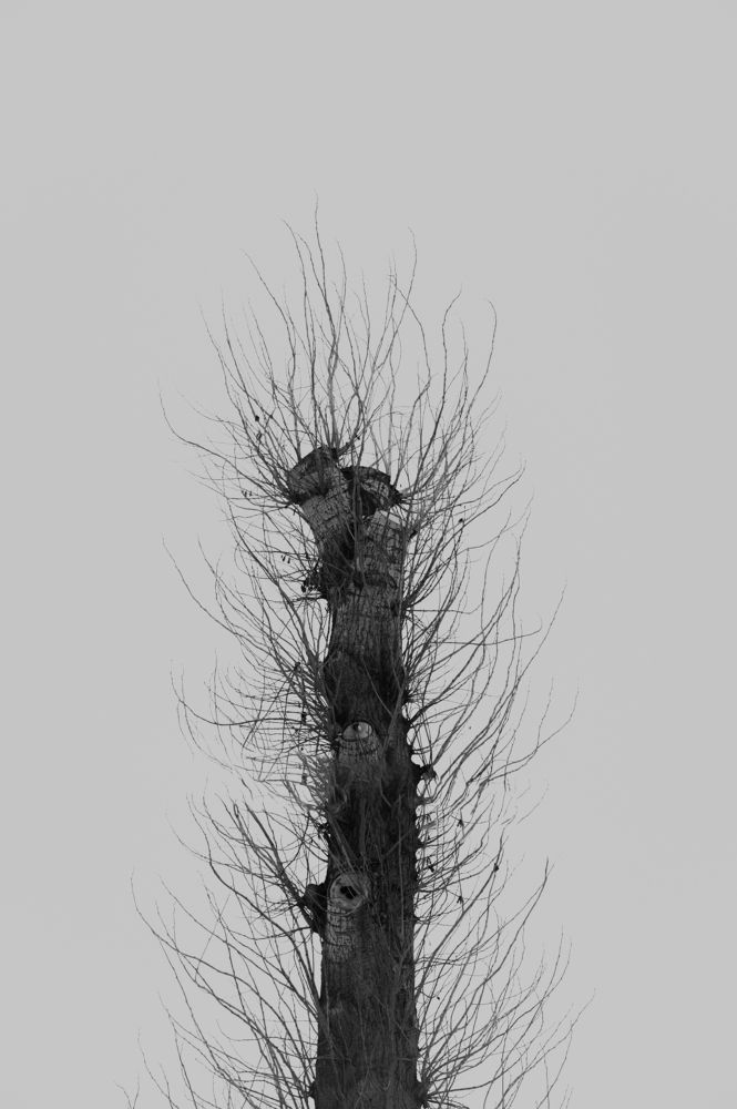 Photograph by Богдан Голованов