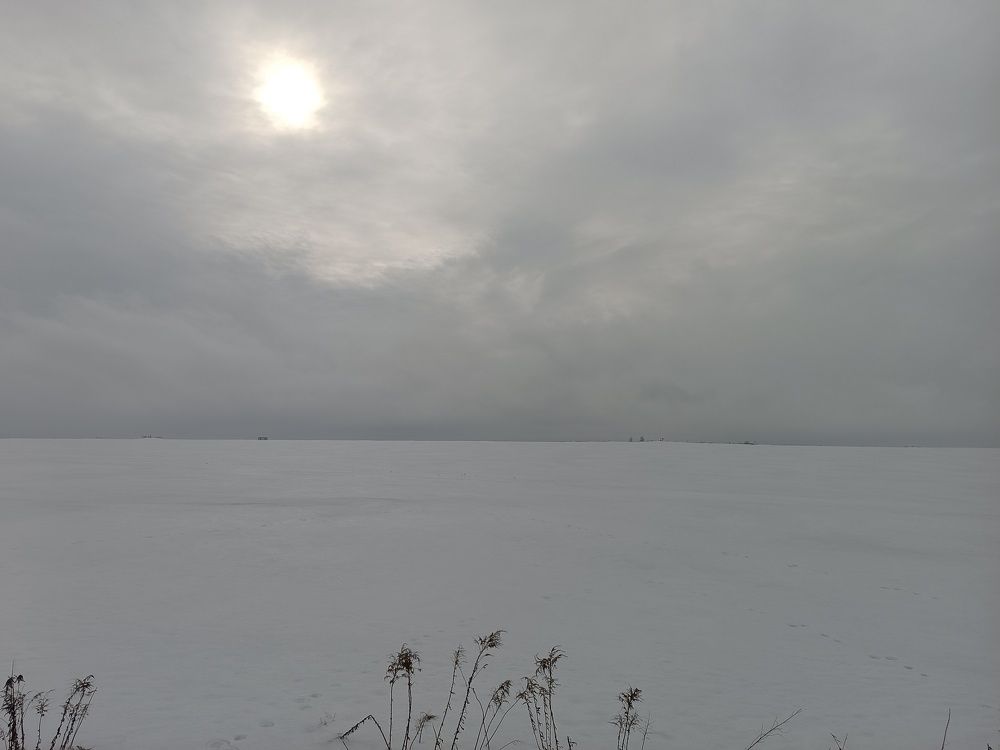 Photograph by Сидорова Ирина