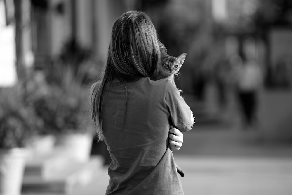 Фотография автора Ирина Болдина