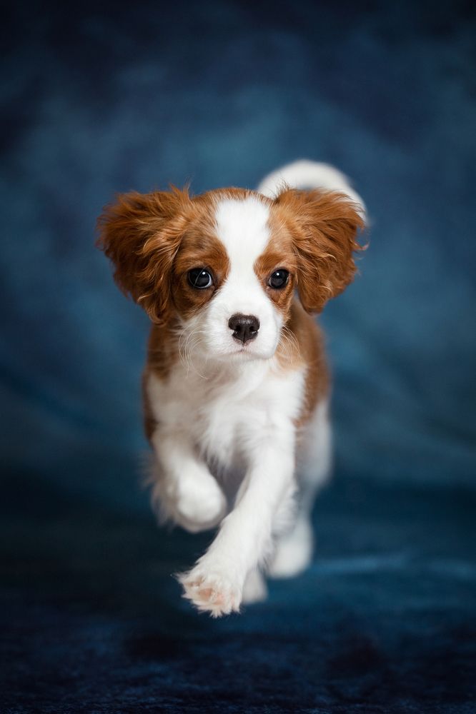 Photograph by Dasha Zueva