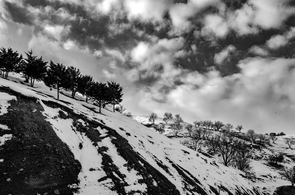 Photograph by Sahar Jafari