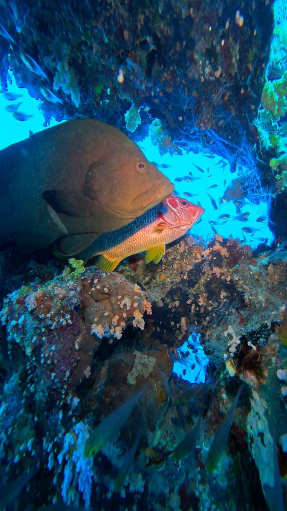 Photograph by Мария Берёзка