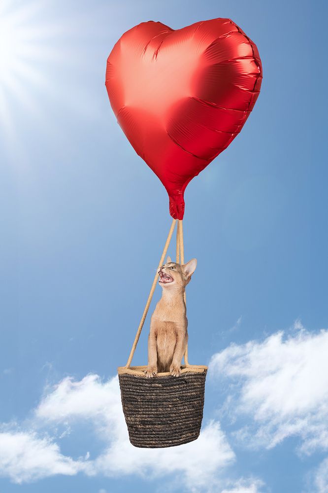 Photograph by Annette Hagemeijer