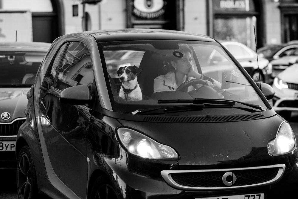 Фотография автора Ирина Болдина