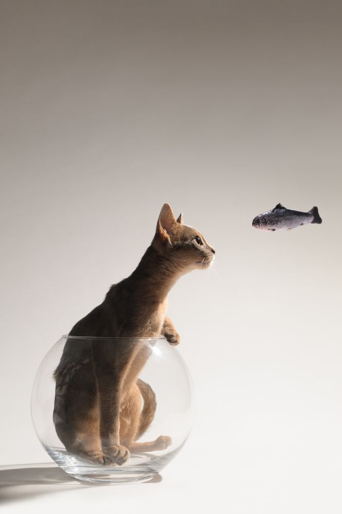 Photograph by Annette Hagemeijer