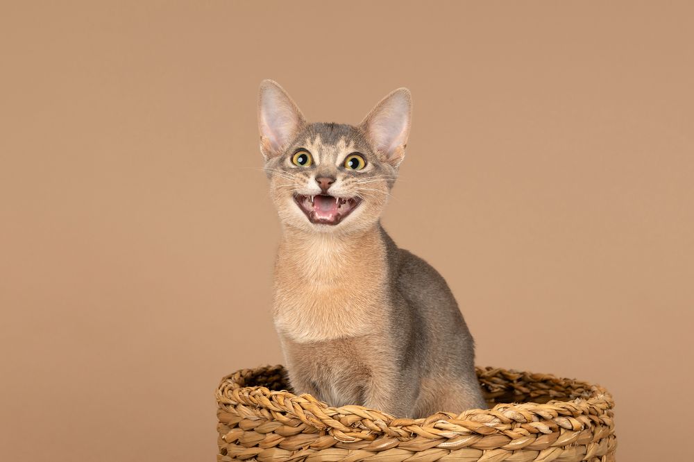 Photograph by Annette Hagemeijer