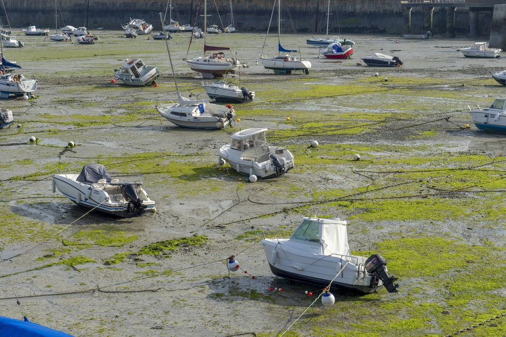 Фотография автора Ирина Зайцева