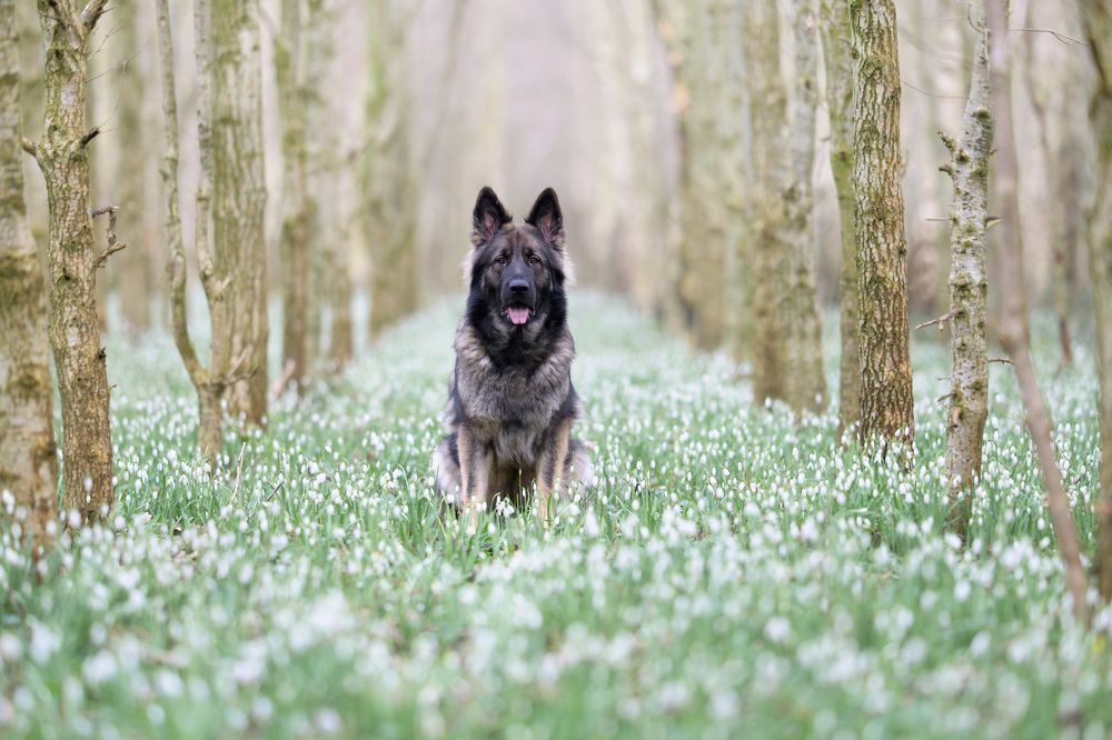 Photograph by Annette Hagemeijer