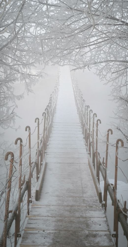 Photograph by Александр Герасимов