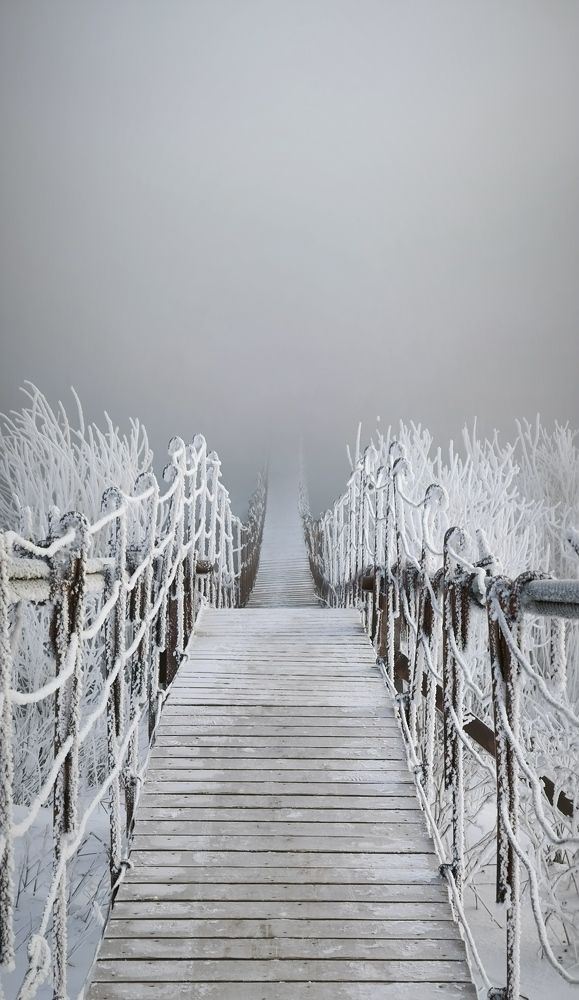 Photograph by Александр Герасимов