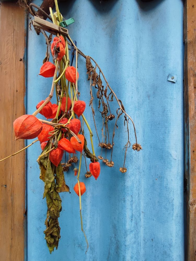 Photograph by Galina Novichkova