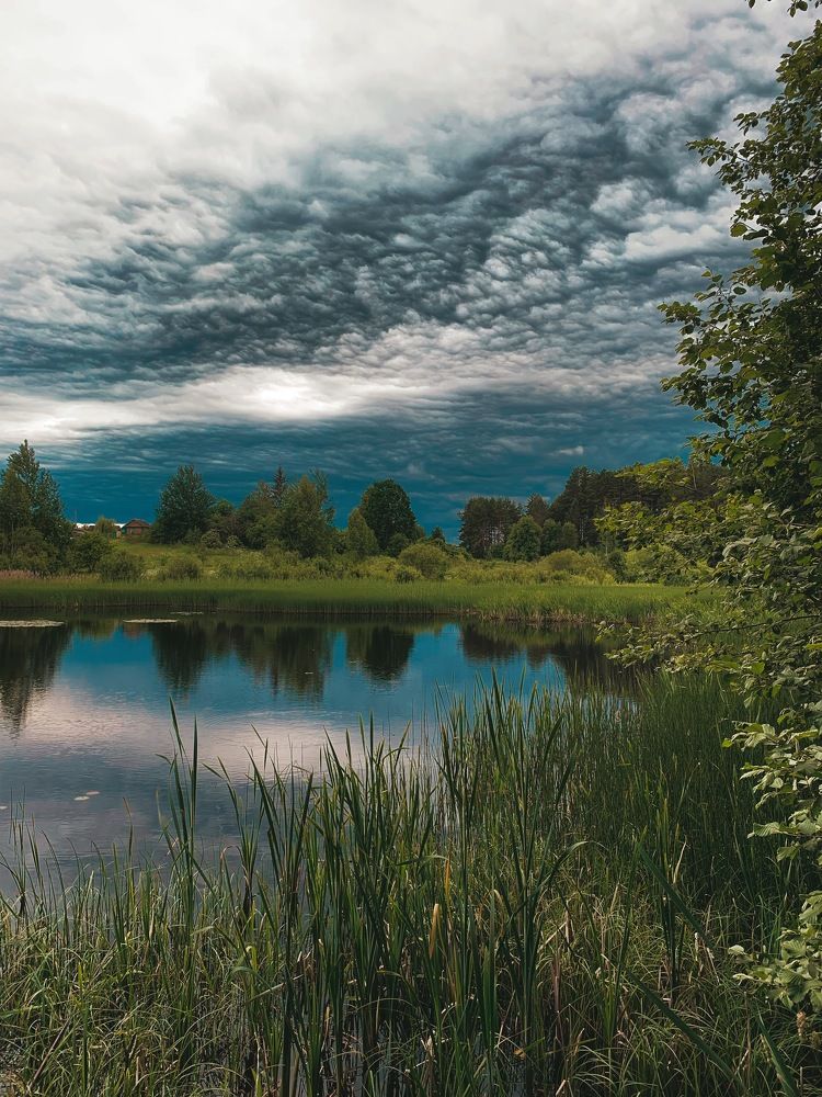 Фотография автора Юлия Дударёнок