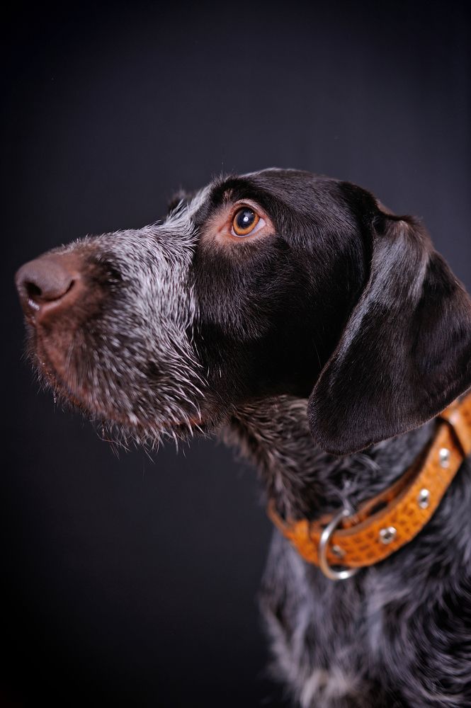 Photograph by Михаил Кинеев