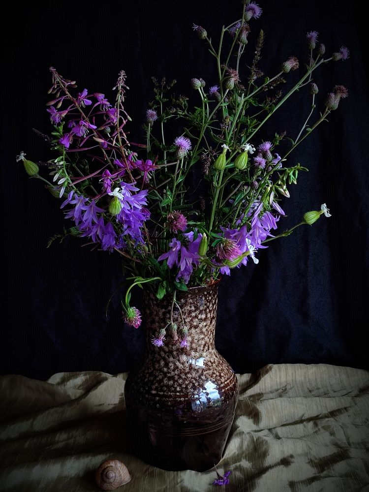 Photograph by Galina Novichkova