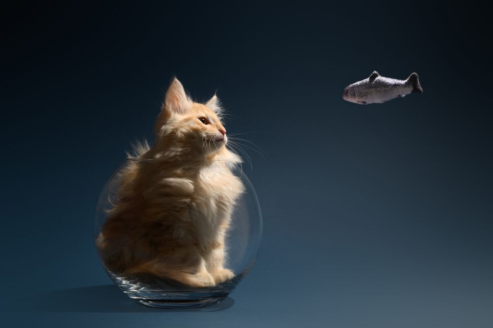 Photograph by Annette Hagemeijer